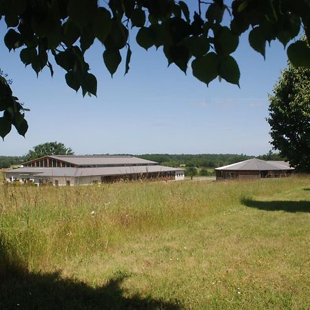 Domaine Equestre De La Chenaie Apartment Saumur Exterior photo