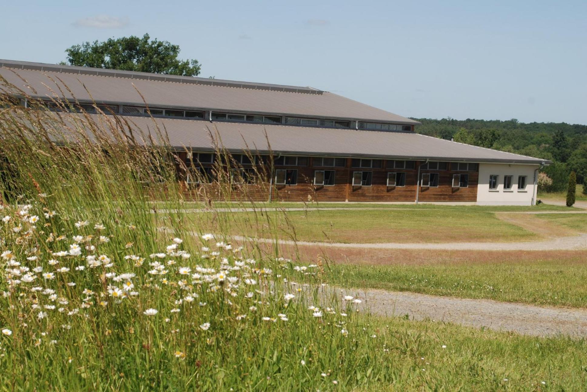 Domaine Equestre De La Chenaie Apartment Saumur Exterior photo